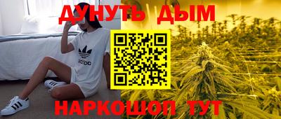 СК Дубна