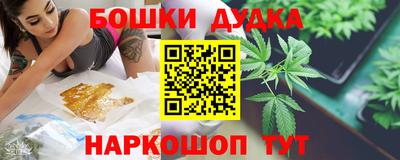 СК Дубна