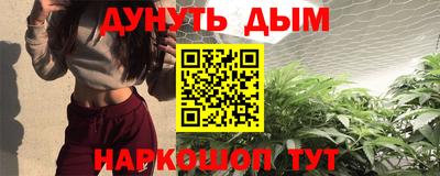 СК Дубна